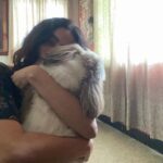 Abhirami Venkatachalam Instagram - உயிர் 🐶🤍 #life #love #live #abhiramivenkatachalam #simba #av #kannamma #instagram #instagood #instamood #instapost #instalike #instalife #instalove #chennai #home