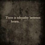Abhirami Venkatachalam Instagram - 🤍 #quotes #of #the #day #life #love #happy #vibes #positivevibes #instagram #instapost #instalove #instalife #chennai
