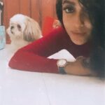 Abhirami Venkatachalam Instagram - Jolly oh gymkhana with @simba3680 🤍 back home after an amazing event ... the love I always wait for ... my baby boy simba 🐶🤍 #doglover #dogmom #simba #mine #goodnight #love #life #kisses #hugs #abhiramivenkatachalam #ammu #kannamma #instagram #instagood #instadaily #instalife #tamil #cinema
