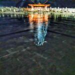 Abhirami Venkatachalam Instagram - नमस्ते अस्तु भगवन विश्र्वेश्र्वराय महादेवाय त्र्यम्बकाय त्रिपुरान्तकाय त्रिकालाग्निकालाय कालाग्निरुद्राय नीलकण्ठाय मृत्युंजयाय सर्वेश्र्वराय सदाशिवाय श्रीमन् महादेवाय नमः Oh Lord, salutations to you Oh Lord of the Universe, Greatest of them all He who has three eyes (eye of omniscience), he who gives enlightenment which is beyond three (Astral, Physical & Causal) worlds He who like fire, devours all three times (Past, Present, Future) within himself Like Time, he who ends everything, like time he who disciplines the world into order, He whose body is vast ( blue like sky, oceans), He who has conquered Yama the Lord of Death/ Time. Lord of all Beings, Conscousness which is untouched by the world yet everything in the world is because of him. Oh great Lord, salutations to you
