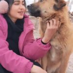 Adah Sharma Instagram - Behind the scenes with the therapist on set #TheKeralaStory With humans this doesn't work 👀 if you don't give bhao then I'm not giving bhao 🤣🥲 . P.S.Swollen eyes because of lotssss of on screen crying and jakada hua nose also 😭😭 Leh, Ladakh