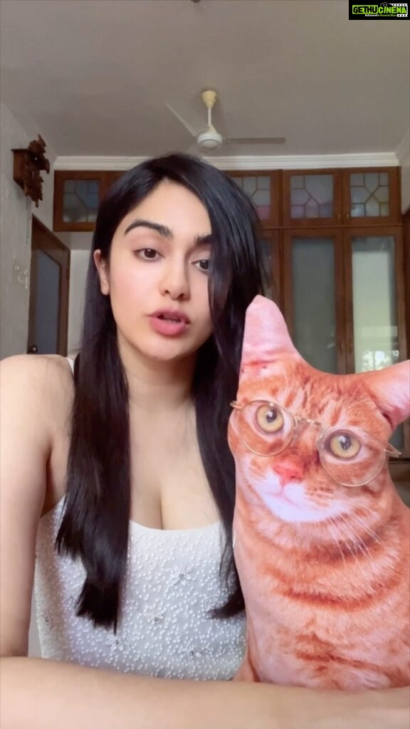 Adah Sharma Instagram - Dammit I'm Mad backwards.... दामाद , लाल , सरस are some palindrome words (मतलब उल्टा भी, सीधा भी,दोनो पढ़ो शब्द same hai) Leave more in the comments #radhaissotalented #RadhaIsSoHumble #RadhaSeKoiKaiseNaJale #RavivaarWithRadha #100YearsOfAdahSharma #adahsharma