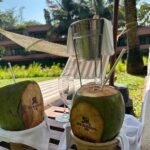Aisha Sharma Instagram - Serenity @camilacoelhocollection @stregisgoaresort #SoulfulSanctuary #LiveExquisite #goa #nofilterneeded #nofilter The St. Regis Goa Resort
