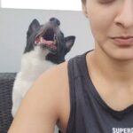 Akshara Reddy Instagram - LIFE WITH OREO #doglover #instadogs #dogarethebest