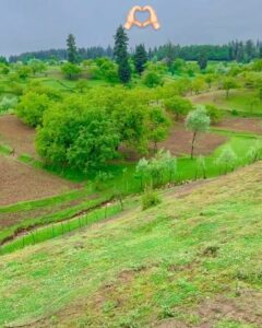 Aly Goni Instagram - Kashmirrr dump lelo guysss 🥸