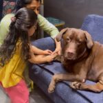 Ankita Bhargava Patel Instagram - Happy RakshaBandhan 👧🏻❤️🐶