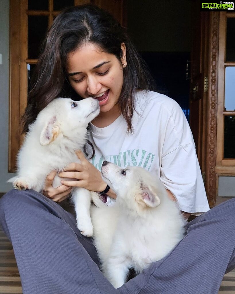 Ashika Ranganath Instagram - Weekend at Coorg ☔️ Also, jack & jill’s first appearance on gram 🫶🏻 @thejaswini_sharma @anusha.ranganath_ @rajeevgowda13 @sangeetha_prasan ♥️ Madikeri, Coorg