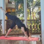 Bhagyashree Instagram - #tuesdaytipswithb Dynamic movements help in amplifying cardio intensity of your workouts and can become a complete body workout. Animal flow is not just about getting mobility, it also helps in increasing your strength, stamina and heart health. If you want to learn animal flow then contact @mr.yashpatel at @askknatural #animalflow #functionaltraining #workout #workoutmotivation #coreworkout #exercise #corestrength #legworkout #workoutmotivation #fitnessmotivation #bestrong #fitness #domorebemore #exercise #muscles #health #flexibility #mobility #strengthtraining