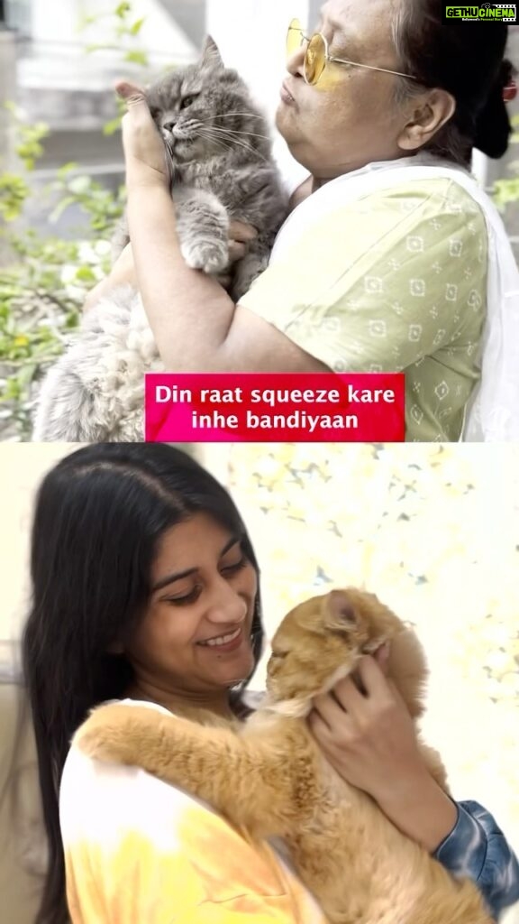 Deeksha Joshi Instagram - We made this original audio for Ailurophiles🐱👇 #billiyaan #billi #catlovers #ailurophiles #catplanet #catsofinstagram #cat #catlife #ailurophile #catsong #billiyan #pets #deekshajoshi #mother