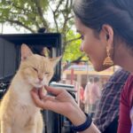 Kanmani Manoharan Instagram - Cats choose us; we don't own them.” – Kristin Cast. #kanmanimanoharan✨
