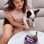 Karunya Ram Instagram - 2yrs for my Dheera Magu🫶🏼❤️🐶🧿🍭 : : : #karunya #dheera #petlover #cute #karunyaram #milkybeautykarunyaram #actress #celebritydog #celebritypets #frenchbulldog Bangalore, India