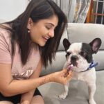 Karunya Ram Instagram - Happiest B’day to u DHEERA Magu 🎂💜💙💗❤️🐶🧿🍭🎉💐u turned 2 today loads of memories together wish u good health 🤗 : : #petstagram #bestpet #cutedogs #celebritydog #frenchbulldog #dheera #frenchbulldog #naughtylittleboy #canineclubofcubbonpark #cannineclubofbangalore Bangalore, India