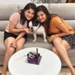 Karunya Ram Instagram - Happiest B’day to u DHEERA Magu 🎂💜💙💗❤️🐶🧿🍭🎉💐u turned 2 today loads of memories together wish u good health 🤗 : : #petstagram #bestpet #cutedogs #celebritydog #frenchbulldog #dheera #frenchbulldog #naughtylittleboy #canineclubofcubbonpark #cannineclubofbangalore Bangalore, India