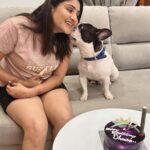 Karunya Ram Instagram - Happiest B’day to u DHEERA Magu 🎂💜💙💗❤️🐶🧿🍭🎉💐u turned 2 today loads of memories together wish u good health 🤗 : : #petstagram #bestpet #cutedogs #celebritydog #frenchbulldog #dheera #frenchbulldog #naughtylittleboy #canineclubofcubbonpark #cannineclubofbangalore Bangalore, India
