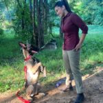 Komalee Prasad Instagram - Deeply hurt to say that Max (Sasha) from #HIT2 is no more.... I have spent most of my time with her on the sets..hope heaven is treating her with her fav treats , balls and fetch games... Thank you for coming into our lives... Varsha is incomplete without you..I hope varsha could come to save you this time.. 🌸💔 Condolences and strength to Anand...@happy_dogs_training_school ... You were the best person she could have as a parent 🌸