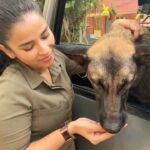 Komalee Prasad Instagram - Deeply hurt to say that Max (Sasha) from #HIT2 is no more.... I have spent most of my time with her on the sets..hope heaven is treating her with her fav treats , balls and fetch games... Thank you for coming into our lives... Varsha is incomplete without you..I hope varsha could come to save you this time.. 🌸💔 Condolences and strength to Anand...@happy_dogs_training_school ... You were the best person she could have as a parent 🌸