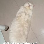 Madhavi Latha Instagram -
