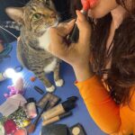Mahek Chahal Instagram - Anything is paws-ible with a cat by your side. ♥️♥️😻😻 Bandra West