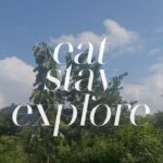 Mandana Karimi Instagram - #EatStayExplorewithDP “The beautiful tree lined road, the warm hospitality and the well-designed property made me feel like I was at a friend’s home, not a hotel!” Highlights of our stay at Amaya, Kasauli (@theamayalife) 1. This hillside private retreat is designed by one of India’s most celebrated architects, (@bijoystudiomumbai) using local materials like wood, lime, and stone. 2. The rooftop has been replaced by sheets of marble to throw ethereal light into the space. 3. The heated teardrop-shaped swimming pool was one of my favorite parts. Instead of tiles, it has been made using gorgeous limestone work with no chemicals added to the water. Instead, they used a natural disinfectant- salt! 4. The farm-to-table dining experience, breathtaking views, and thoughtful, luxe, and minimalistic design all await you at Amaya in Kasauli #EatStayExplore is in collaboration with @designpataki Head to www.designpataki.com or click on the #linkinbio to explore more.