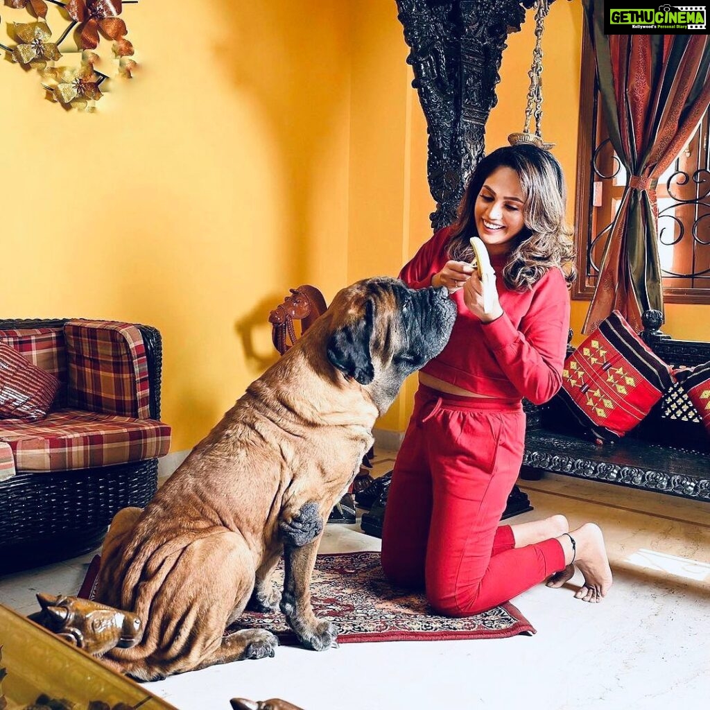 Mumtaz Sorcar Instagram - If my dog makes you uncomfortable, I’ll be happy to lock you up in the other room… ☺🧿⚫ #myworld #englishmastiff #mylilprincess