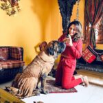 Mumtaz Sorcar Instagram – If my dog makes you uncomfortable, I’ll be happy to lock you up in the other room… ☺️🧿⚫️
#myworld #englishmastiff #mylilprincess