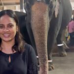 Nandita Swetha Instagram - Pretty little things 🫶🫶🫶