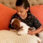 Neelam Kothari Instagram - Say hello to little Patch Soni ❤️ #doglover #puppy #puppylove #pets