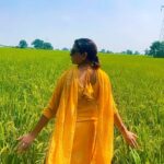 Nisha Bano Instagram - 🌻🌾 #nishabano #desiqueen #instareel #trending #desi