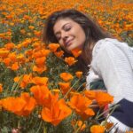 Pooja Batra Instagram – We are all the lucky vacationers enjoying our stay in Hotel Earth – @jayshetty #superbloom #californian #Poppy 📸 @krishnafineart Los Angeles, California