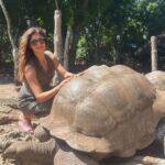 Pooja Batra Instagram - Sorry this one took long to make. In Prison Island 🏝️ with the tortoise 🐢 #zanzibar Never seen such magnificent creatures up close.