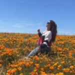 Pooja Batra Instagram - We are all the lucky vacationers enjoying our stay in Hotel Earth - @jayshetty #superbloom #californian #Poppy 📸 @krishnafineart Los Angeles, California