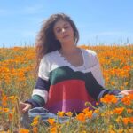 Pooja Batra Instagram - We are all the lucky vacationers enjoying our stay in Hotel Earth - @jayshetty #superbloom #californian #Poppy 📸 @krishnafineart Los Angeles, California