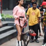 Poonam Pandey Instagram - Caesar and I went for a walk today.. #caesar #myboy #myson #pitbull #pitbulls #poonampandey #ppfans #caesarfans