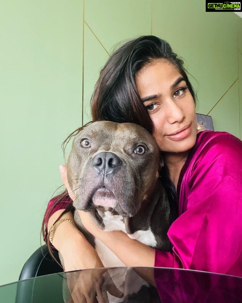 Poonam Pandey Instagram - Hanging out with my cutie, Caesar. #nomakeup #nofilter #pp #pplovers #ppfans #caesar #love #cutie