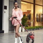 Poonam Pandey Instagram - Caesar and I went for a walk today.. #caesar #myboy #myson #pitbull #pitbulls #poonampandey #ppfans #caesarfans