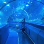 Priyanka Nalkari Instagram - #aquarium #kl #kualalumpur #lovefishes #blue #couplegoals #happyweekend #jumpsuit #selfies #malaysia #fun #happy #wifeylife #actresslife #teluguamayi #tamilactress #indian #instagram #instamood Aquarium KL Tower