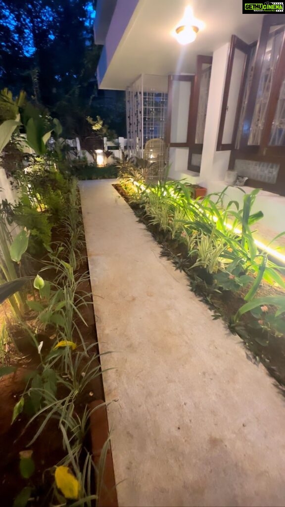 Priyanka Upendra Instagram - Our garden..#eveningmood