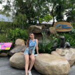 Puja Gupta Instagram – 🦔 🦒 🦓 🦁 🦦 🦖🦧🐘🐆 Singapore Zoo