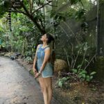 Puja Gupta Instagram – 🦔 🦒 🦓 🦁 🦦 🦖🦧🐘🐆 Singapore Zoo