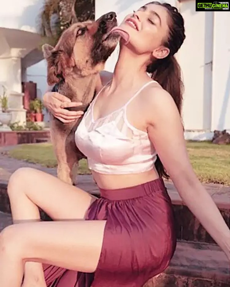 Puja Gupta Instagram - Dogs never bite me—just humans. 🐾 🐾 🐾 Mumbai, Maharashtra