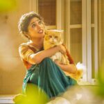 Samyukta Hornad Instagram - please meet my most beautiful baby boy, Mr. Kumbha (karna) Hornad adopted from @charliesanimalrescuecentre :) Thanks for the pics @pragalbhvashishth 🌸 Thanks for putting this together @laxmikrishnaofficial #Catwoman #Adopt #Praana