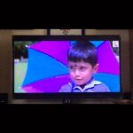 Sastika Rajendran Instagram – Was clearing my phone when I found this! 

I was this little not-so innocent kid when my laddu moonji came on a 70mm screen for hardly 5 secs. 
My parents were thrilled! 

If someone had said to that kid, in few years time, you are going to be in front of cameras for almost every single day, she wouldn’t have trusted or believed in it. 
But here I am, enjoying “Roll camera, action!” on most days ☺️
And my parents and friends are still thrilled every-time they see me on screen (small or big) 📺 🎞
To that little me : Be thankful that everyday YOU get to do what YOU do! 

I start a new journey tomorrow and I am #grateful for everything that happened so far in life 💫🧿

@starsportstamil here I come ❤️❤️❤️

#actorslife #actor #anchorlife #anchor #tvpresenter #presenter #prokabaddi #vivoprokabaddi Government Botanical Gardens, Ooty