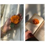 Sayli Patil Instagram – सोनं घ्या, सोन्या सारखे रहा ✨☺️
.

दसऱ्याच्या खुप शुभेच्छा :)