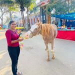 Shalu Shammu Instagram - Oh yeah , that’s Kolli Hills ♥️😇 #shalushamu #shalushamuvlogs #kollihills #arapulleeswar_temple #blessed #metime Arapulleeswar Temple,kolli Hills