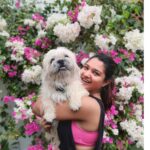 Sharanya Turadi Instagram - Muffin faces 😆 3 years ago, I thought I was saving his life by adopting him but realizing that he's actually the one saving me with his mere presence in my life. Happy birthday, Momo boy . Thank you for loving this hooman beyond my imperfections ❤️ #happy3years #momoness