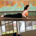 Sharmiela Mandre Instagram - Kshemavana is a sanctuary for those who seek a wholesome healing process – for their body as well as mind. Every method is natural and holistic allowing naturopathy and yogic sciences to set a course of rejuvenation . I had the pleasure of staying at this incredible wellness and holistic retreat focused on yoga, meditation and pranayama. In addition to the yoga and meditation, the retreat offered an array of rejuvenating treatments which were exceptional all administered by highly skilled professionals . One of the standout aspects was the vegetarian cuisine. Despite the fact that I’m non-vegetarian I did not for a minute miss it .The nutritious meals left me feeling light and energized. It was a delightful surprise to see how food could be a part of the holistic journey. Throughout my stay, I felt a profound sense of cleanliness, not only in terms of my physical well-being but also in the peace and clarity of my mind. It truly was a reset for my entire body, mind & soul. If your seeking a rejuvenating escape and a deeper connection with themselves @kshemavana is the right choice for you. It’s an oasis of tranquility and self-discovery that I won’t be forgetting any time soon #innerpeace #wellnessretreat #holistichealing #yoga #yogaretreat #reset