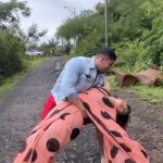 Shivani Jha Instagram - This is Us. Bare with it 😛 @karanjohar #reels #tumkyamile #rockyaurranikipremkahani #leeneshmattoo #shivanijha #leevani #viral #trending #funny