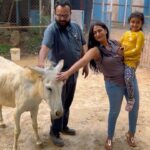 Shwetha Srivatsav Instagram - As we embark on another new year, wanted to begin with this note to spread awareness & encourage among people regarding the rights of animals to live in peace, health and dignity in the same manner as human beings. I strongly believe and vouch in equal respect to all, including animals and environment. Samabhava is a Non-Government and Non-Profit Organisation and works for protection, well-being and welfare of animals. I would like to thank Samabhava & team for giving me the opportunity to spend valuable time from a very long period at their care center and heartily thank them for doing such a great deed relentless and for their altruistic act! For all queries related to Working Animal Welfare/contributions, you can connect - Managing Trustee, Sandesh Raju, at sandesh@samabhava.org or call + 91 944 955 9767. Lets begin this new year in indulging in many more such a great cause and do our bit to society. 🙏 #happynewyear #happy2023 #shwethasrivatsav #karnatakasyndicatefoundation #rescued #animalshelter #donate #charity #horse #animallovers #trueheroes #gooddeeds #newyear #beginning #instagood #instagram #instalove @ashmitha.srivatsav @amith.srivatsav