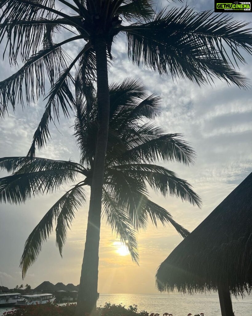 Sonal Chauhan Instagram - 🐳 . . . . . . . . . . . . . . . . . . . . . 📸 @himanichauhan #love #sonalchauhan #wmaldives #maldives #ocean W Maldives