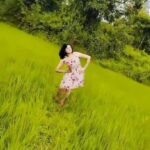 Sukrutha Wagle Instagram - follow me on Josh. Link in bio #green #farming #agriculture #sukruthawagle